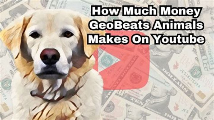 GeoBeats Animals video statistics