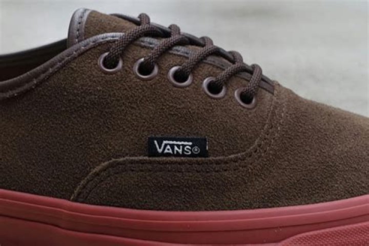 Vans Net Worth & Earnings (2024)